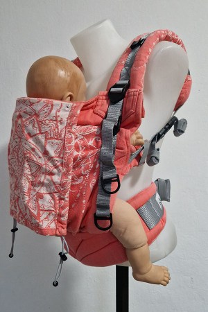 Donkey_nosimte_turnov24