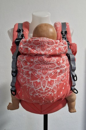 Donkey_nosimte_turnov39