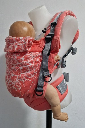 donkey_nosimte_turnov1